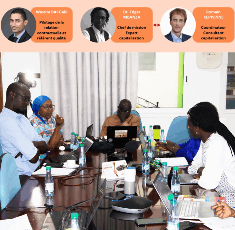 Capitalisation transversale pour la FISONG  |  Rapport final – version provisoire